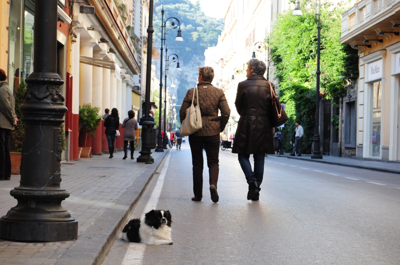 one of many random dogs in the street