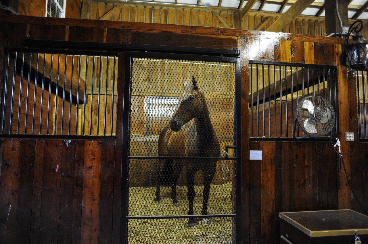 Airbnb- A More Adventurous Way to Stay