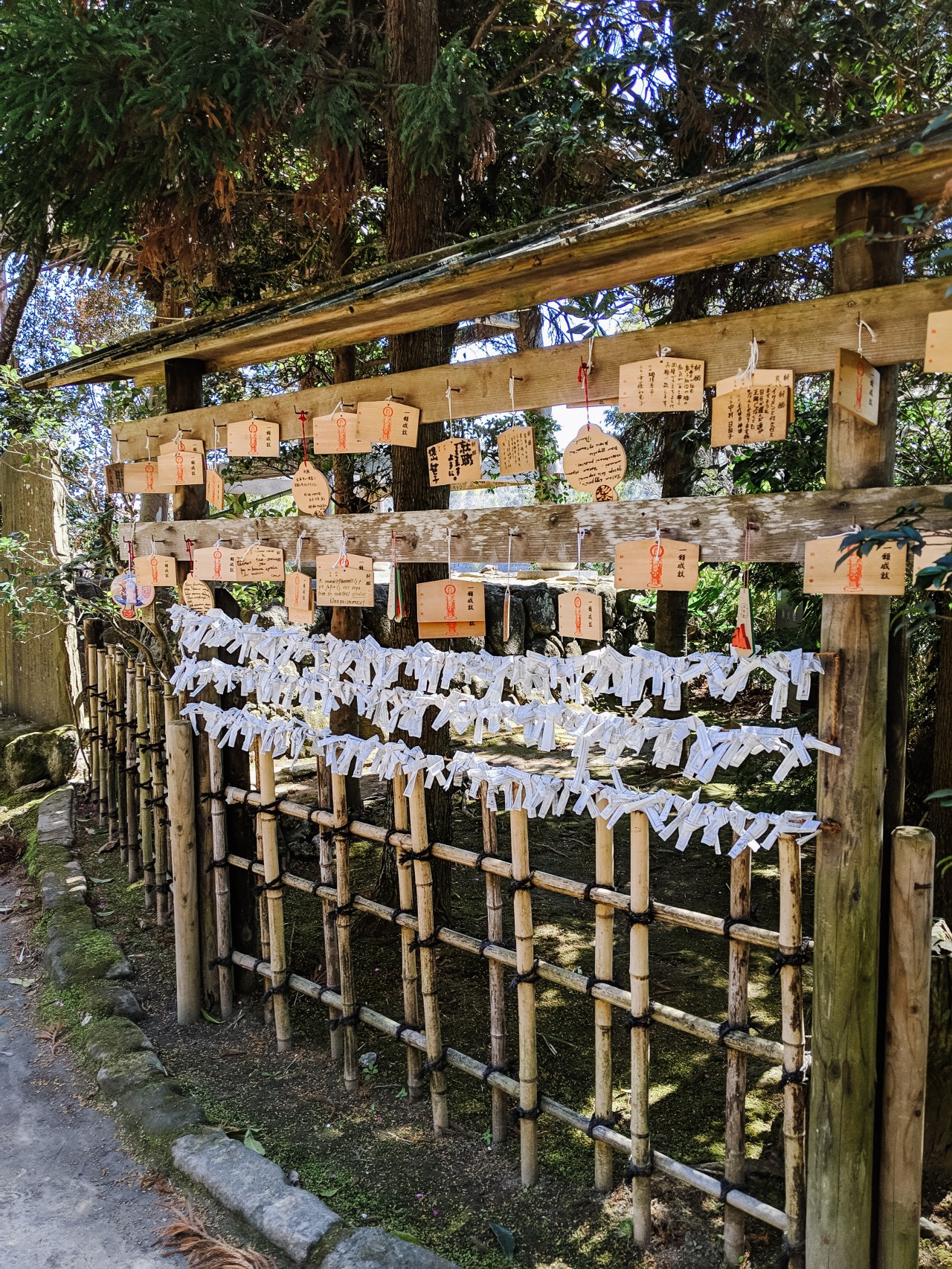 fortunes IMG_20190313_121637-2